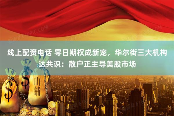 线上配资电话 零日期权成新宠，华尔街三大机构达共识：散户正主导美股市场